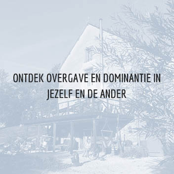 Discover surrender and dominance in yourself and the other Discover surrender and dominance in yourself and the other